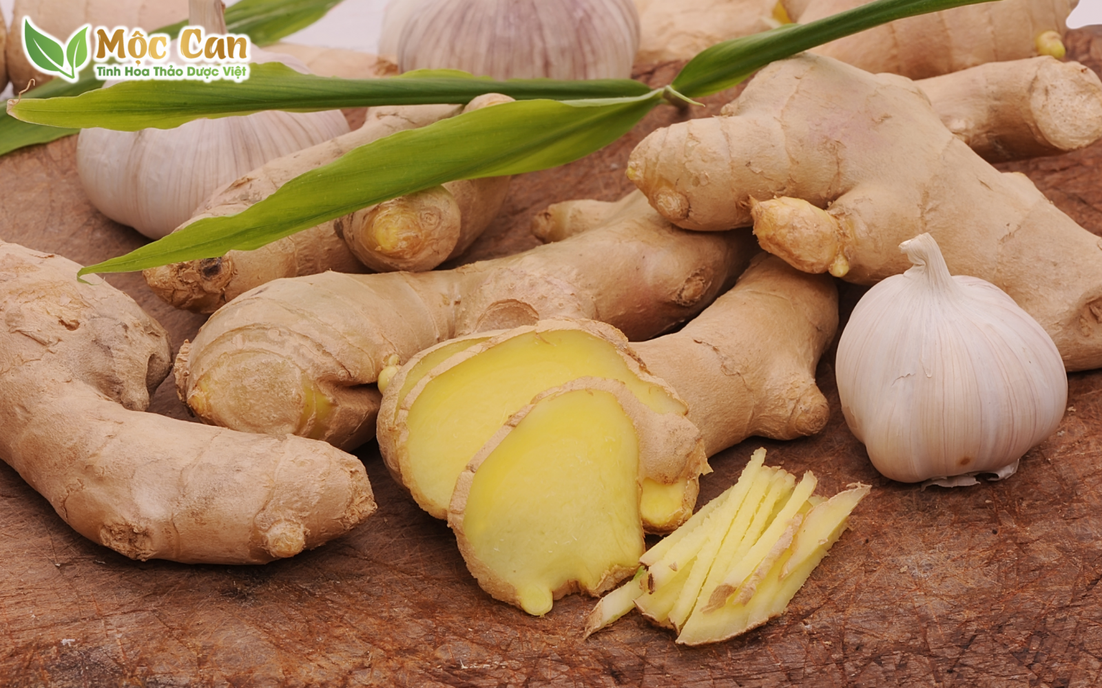 TÁC DỤNG LÀM ĐẸP CỦA CỦ GỪNG 1